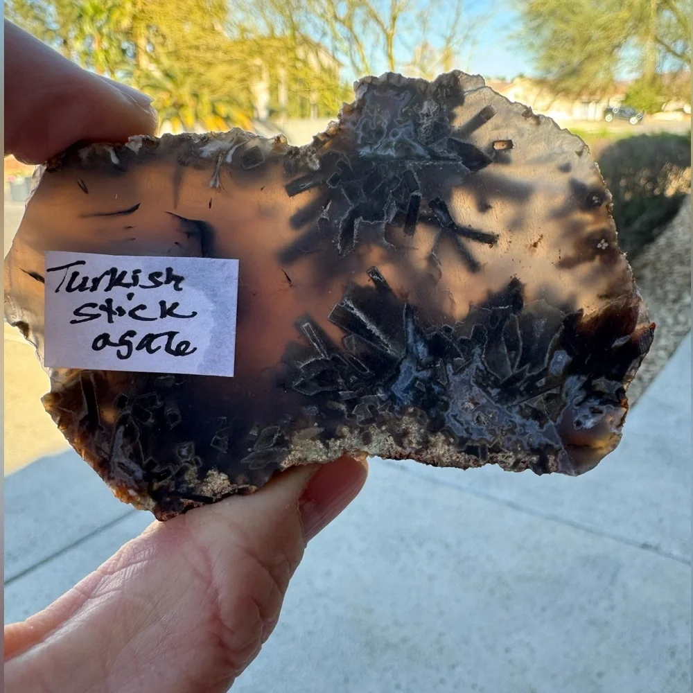 Turkish Stick Agate Slab End Cut Non polished (Turkey) - Brown and Black